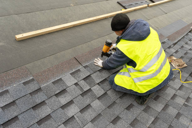 Best Best Roofing Contractors  in Detroit Beach, MI