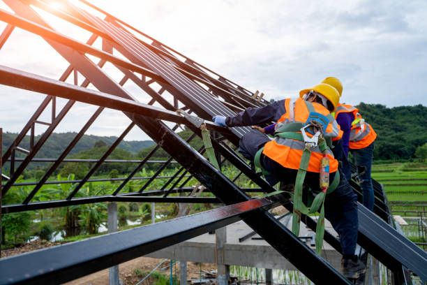 Best Roof Replacement Cost  in Detroit Beach, MI