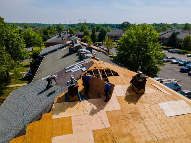 Best Storm Damage Roof Repair  in Detroit Beach, MI