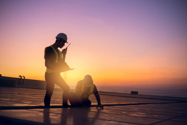 Roof Gutter Cleaning in Detroit Beach, MI