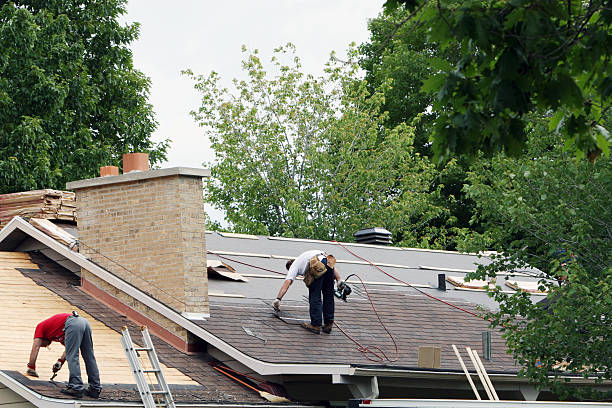 Best Emergency Roof Repair  in Detroit Beach, MI