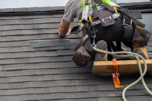 Roof Installation Near Me in Detroit Beach, MI