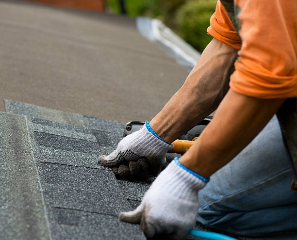 Best New Roof Installation  in Detroit Beach, MI