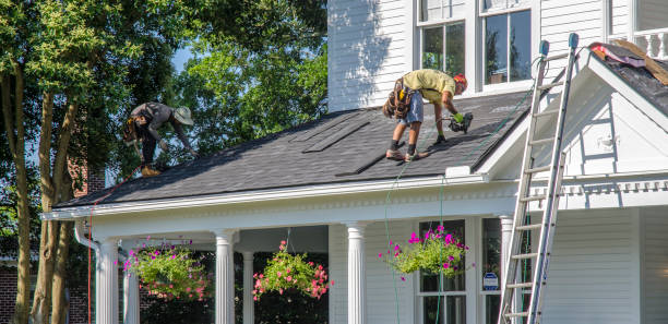 Best Roof Gutter Cleaning  in Detroit Beach, MI