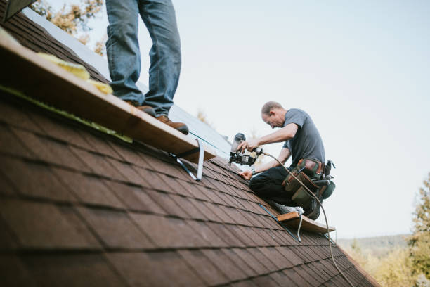 Best Shingle Roofing Installation  in Detroit Beach, MI