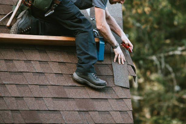 Best Roof Waterproofing Services  in Detroit Beach, MI