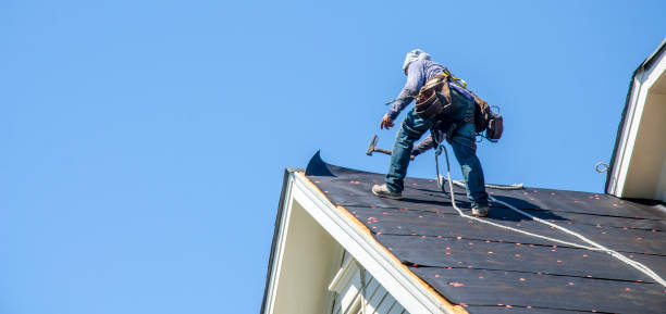 Best Gutter Installation and Roofing  in Detroit Beach, MI